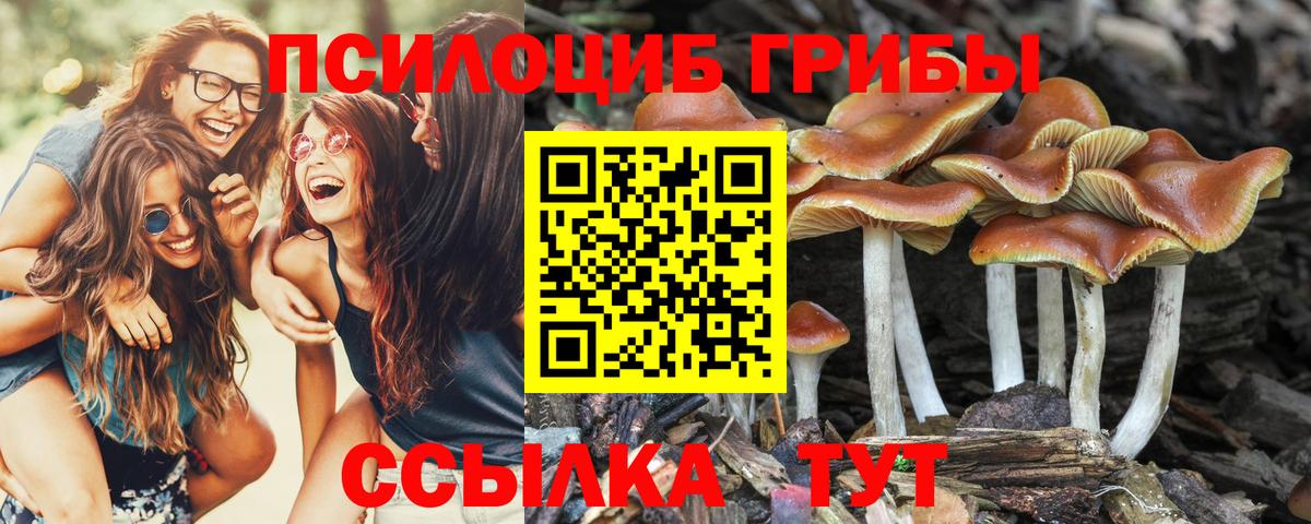закладка  Вход с VPN  Барнаул  Галлюциногенные грибы MAGIC MUSHROOMS 